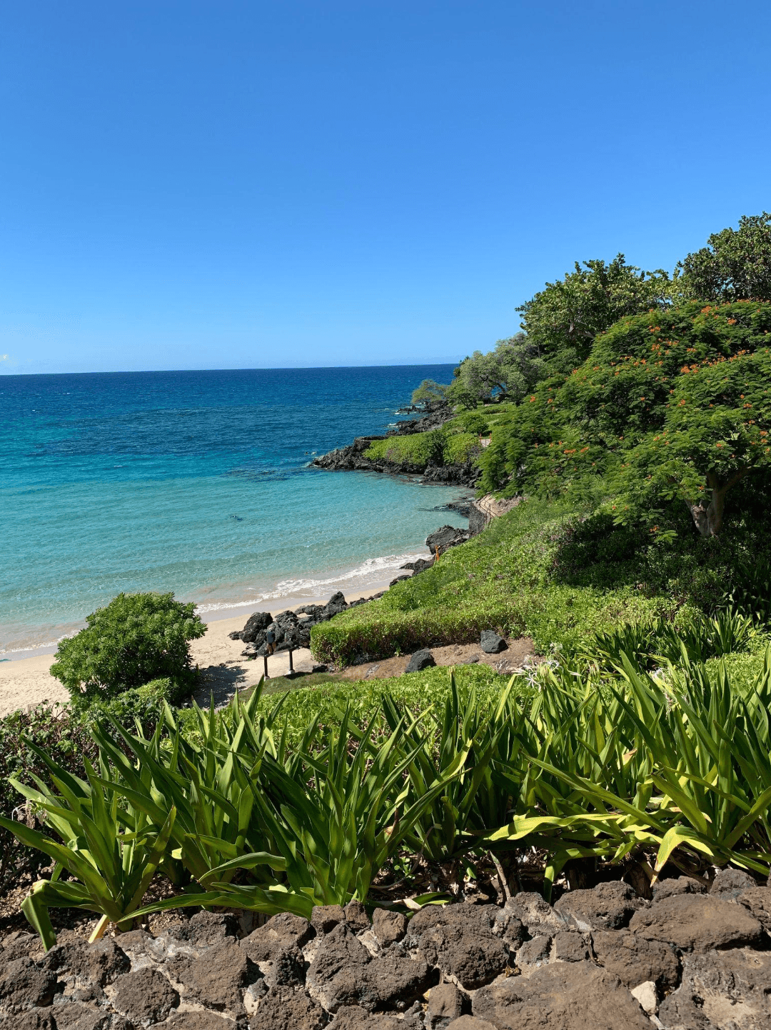 Scene of a sunny beach.